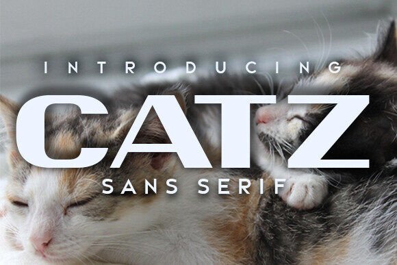 Catz: The Sans Serif Typeface for Clearer Campaign Messaging